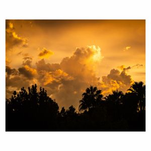Image post by @joshuashultz on Instagram