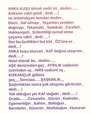 Image post by @kadirkaratasworld on Instagram
