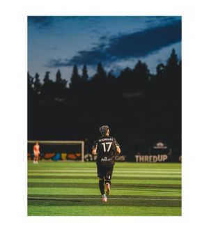 Image post by @atibbsphotos on Twitter