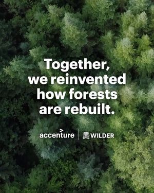 Image post by @accenture on Instagram