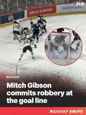 Image post by @flohockey on Instagram