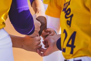 Image post by @ecu__softball on Instagram