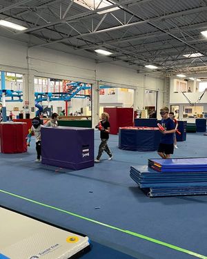 Image post by @TroyGymnastics on Facebook