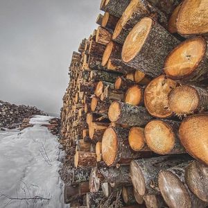 Image post by @moment on Instagram