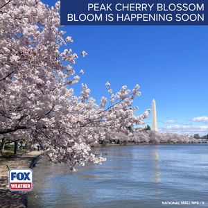 Video post by @foxweather on TikTok