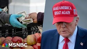 Video post by @msnbc on YouTube