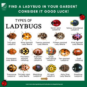 Image post by @ahs_gardening on Instagram