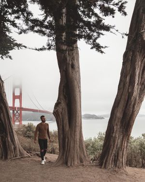 Image post by @stevengr.am on Instagram