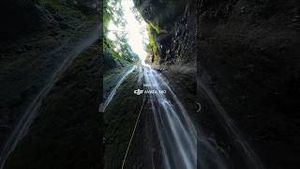Video post by @dji on YouTube