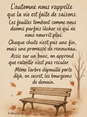 Image post by @soupcondedetente on Instagram