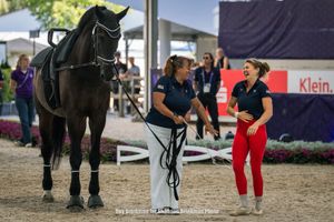 Image post by @usequestrian on Instagram
