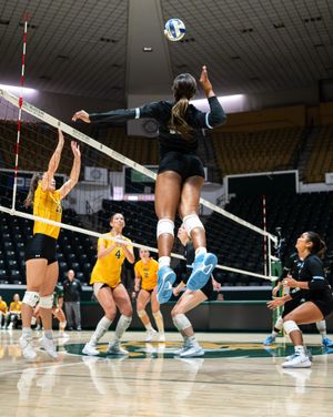 Image post by @greenwavevb on Instagram