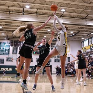 Image post by @plaidsheepcreative on Instagram