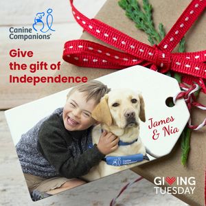 Image post by @canineorg on Instagram