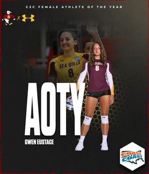 Image post by @suseagulls on Instagram