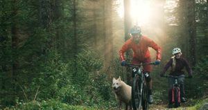 Video post by @vitusbikes on Instagram