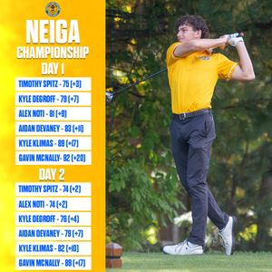Image post by @wne_goldenbears on Instagram