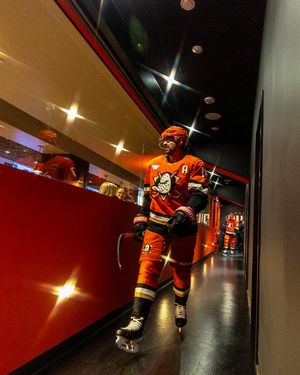 Image post by @anaheimducks on Instagram