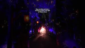 Video post by @disneyparks on YouTube