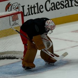 Image post by @goaliegearnerd on Instagram