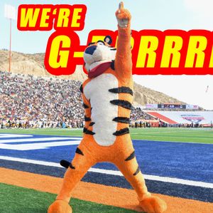 Image post by @tonythetigersunbowl on Instagram