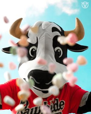 Image post by @visaliarawhide on Instagram