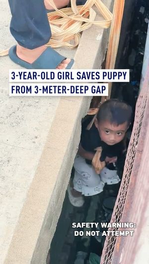 Video post by @cgtneurope on Instagram