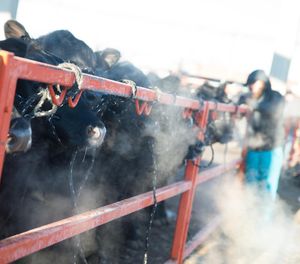 Image post by @nationalwestern on Instagram