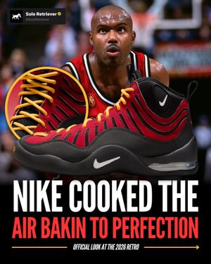 Image post by @soleretriever on Instagram
