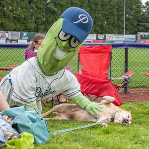 Image post by @picklesbaseball on Instagram