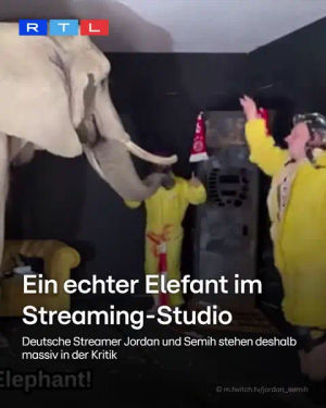 Image post by @rtlaktuell on TikTok