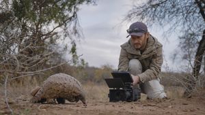 Image post by @reddigitalcinema on Instagram
