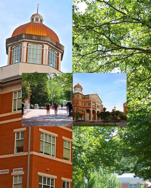 Image post by @unccharlotte on Instagram