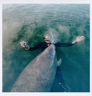 Image post by @natgeo on Instagram