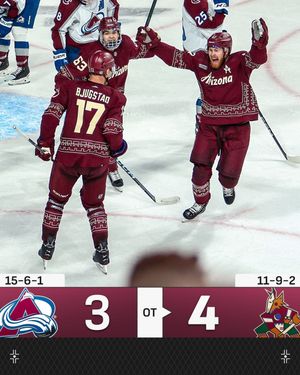 Image post by @nhl on Instagram