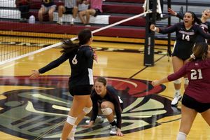 Image post by @arcadia_wvb on Instagram