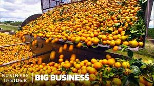 Video post by @businessinsider on YouTube