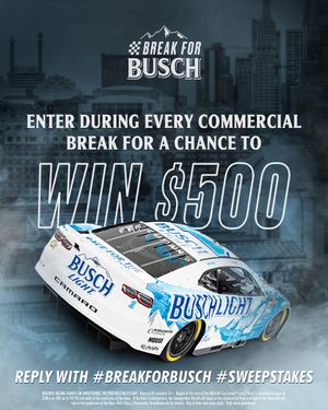 Image post by @BuschBeer on Twitter