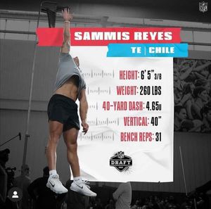 Image post by @sammisreyes on Instagram