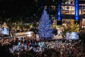 Image post by @bofastadium on Instagram