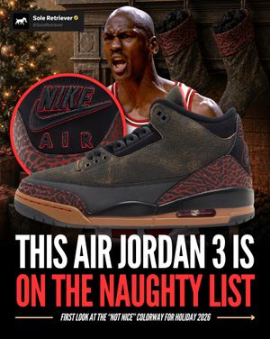 Image post by @soleretriever on Instagram
