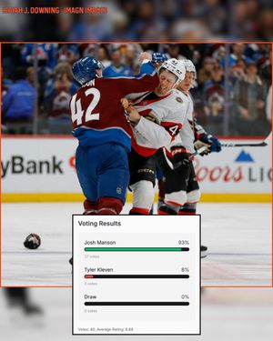 Image post by @hockeyfights on Instagram