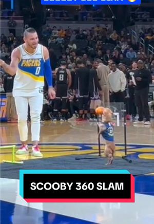 Video post by @pacers on TikTok