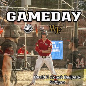 Image post by @gwubaseball on Instagram