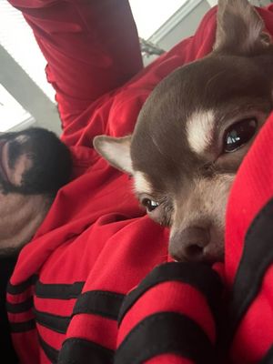 Image post by @therealjoseyscott on Instagram