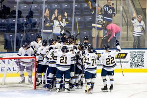Image post by @sfstampede on Instagram
