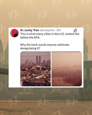 Image post by @greenpeaceusa on Instagram