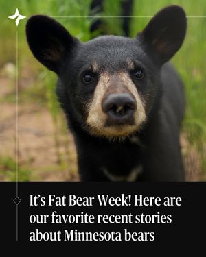 Image post by @startribune on Instagram