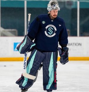 Image post by @goaliegearnerd on Instagram
