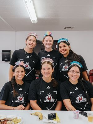 Image post by @nmstatesoftball on Instagram